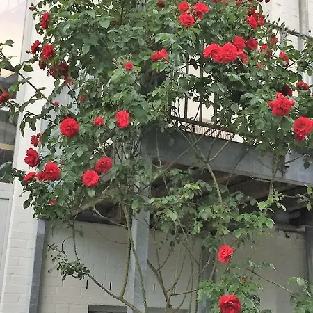 Apartment Auf Dem Meere *